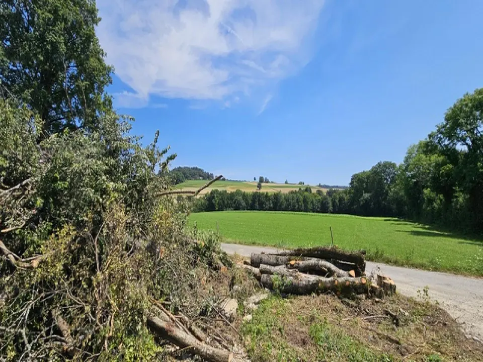 Villa 6 pièces au Vaud — photo 3